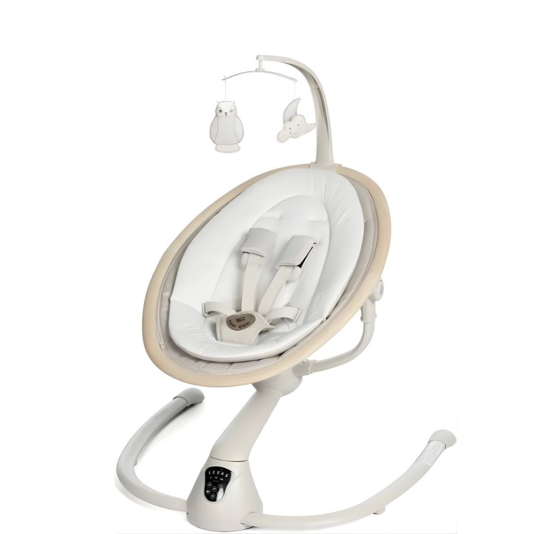 Untitled design - 2026-02-01T121549.730